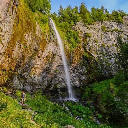 Bois Aux Cheirilles - 15min Murol - Puy De Dome Ferienhaus