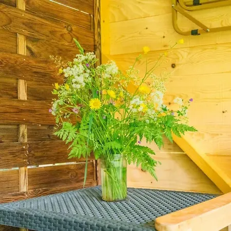 Bois Aux Cheirilles - 15min Murol - Puy De Dome * Saint-Diery