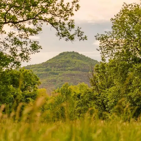 Bois Aux Cheirilles - 15min Murol - Puy De Dome Ferienhaus *